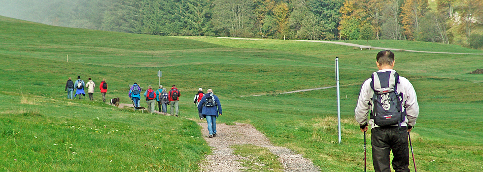 Wandern / Hotzenwald Online